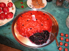 pict0033_leppakerttukakku_hyva