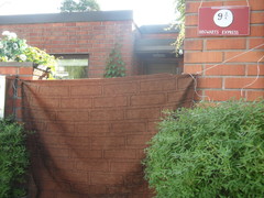 sam_1946