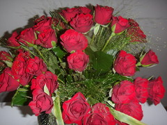 sam_2222