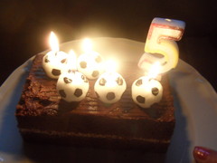 sam_2294