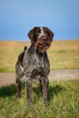 Pentueen is&auml;: Nick III vom Saarforst