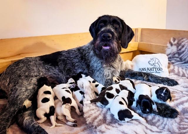 2 days old