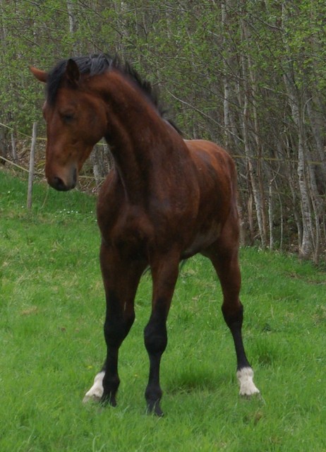 fred_18052013