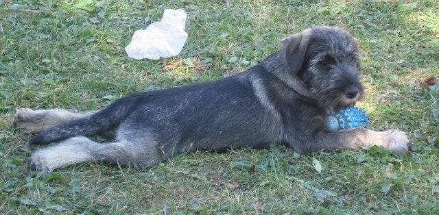 faramir_04082013