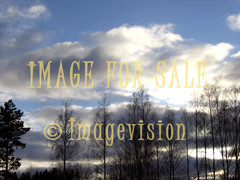 for sale threatening thunder clouds and black trees