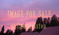 for sale red evening sky silhouette
