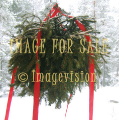 for sale spruce branch christmas decoration and snow forest