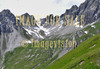 for sale alps in summer