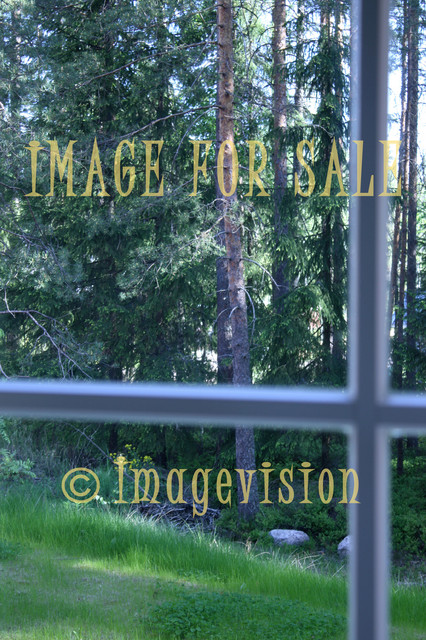 for sale forest view from inside