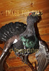 for sale noble capercaillie