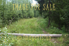 for sale chaparral and forest road