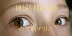 for sale pair of brown eyes