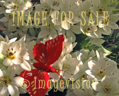 for sale white flower bouquet