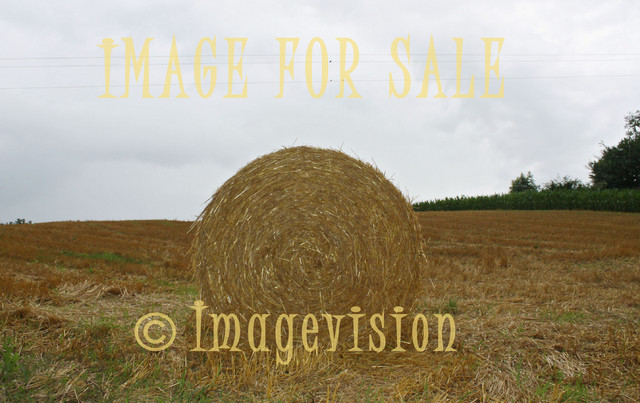 for sale round golden haystack