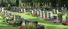 for sale peaceful graveyard in sunlight