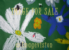 for sale spiders and flowers drawing