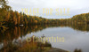 for sale autumn lake and forest view