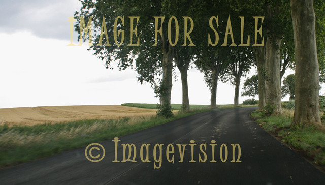 for sale beautiful road along french fields