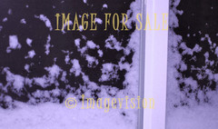 for sale snow on window_violet tuning