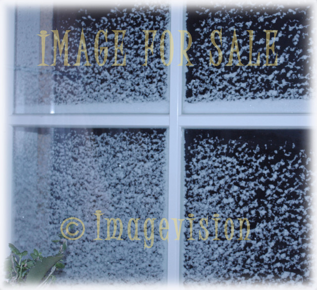 for sale snow on window_soft frame