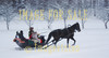 for sale horse sleigh ride in thick snow