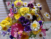 for sale selection of pretty summer flowers