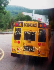 for_sale_american_school_bus