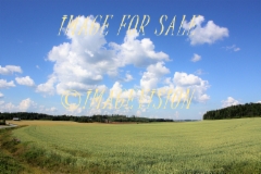 finnish_farm_fields_and_bright_sky