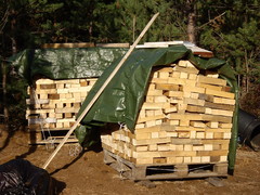 23.10.2011 Jätepuut pilkottuina takkapuiksi