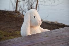 dsc_0001__kopio