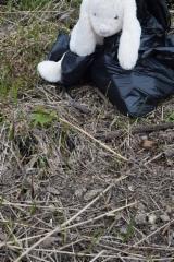 bunnyisasking