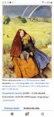 john_everet_millais_1856_sokea_tytto