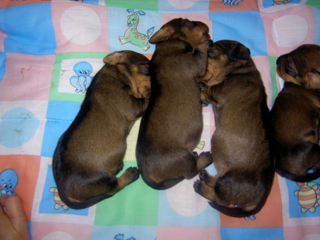 tyttö ja 2 poikaa 8.7.2007