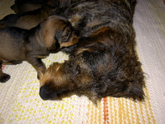 Mamman kanssa 18.7.2007