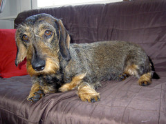 Nora 21.2.2009