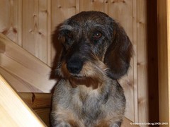 19.6.2009