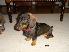 Bella