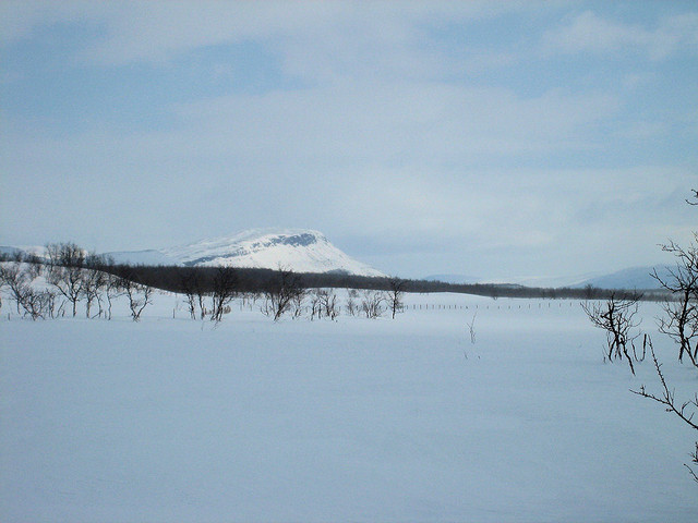 kilppari 08 37
