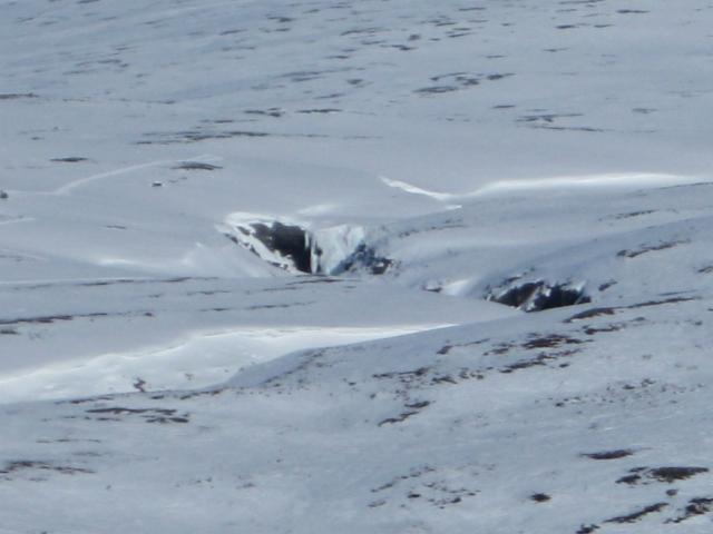 img_2638