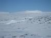 img_2637