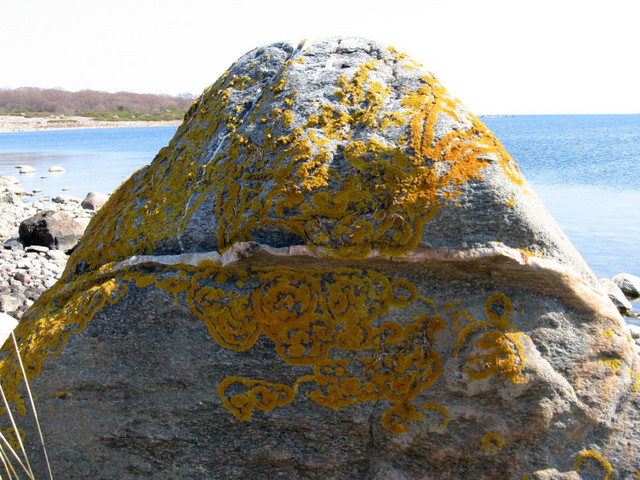 iso kivi rannalla