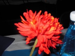 2013-11-30_037_1024x768