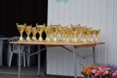 2015-09-19_479_1024x683