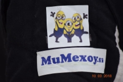 2018-03-10_054_1024x684