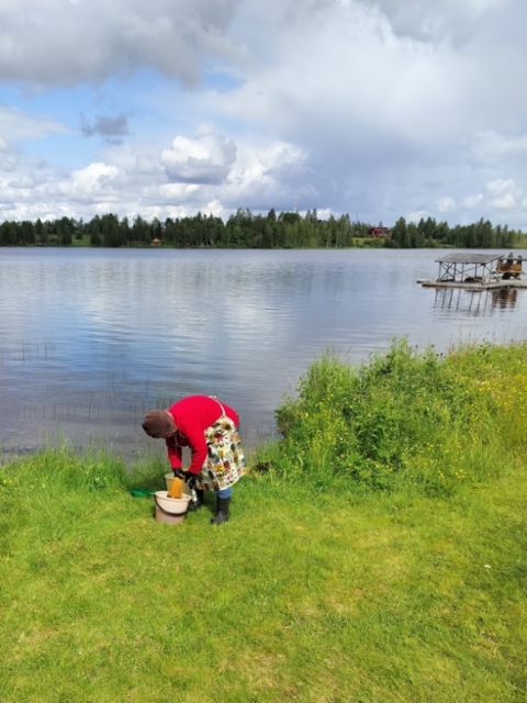 Langan värjäystä Kallioniemen rannassa