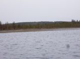 Tyrämäki Murhijoelta