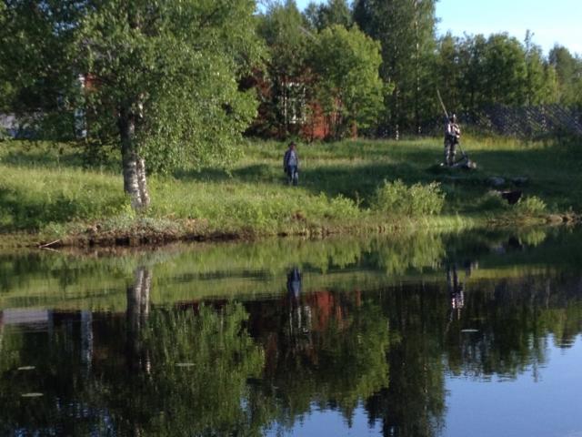 Kallioniemen ranta järveltä