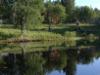 Kallioniemen ranta järveltä
