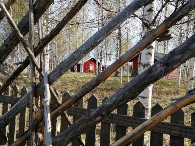 näköis Kallioniemi