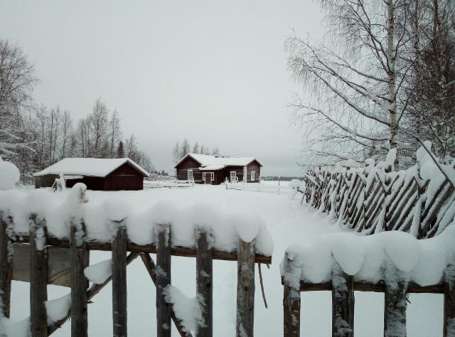kallioniemi talvella